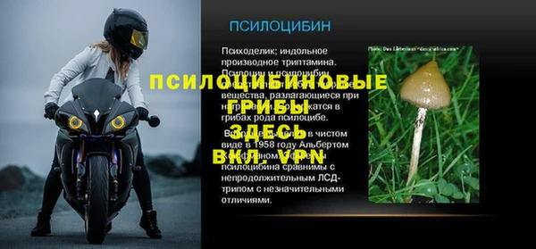 мет Абаза